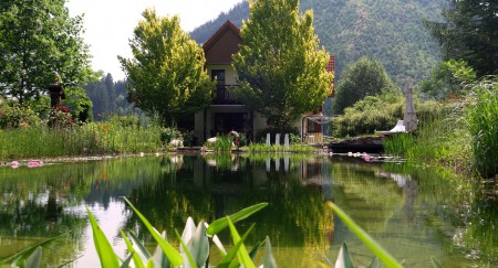 Frühsommer an unserem Schwimmteich